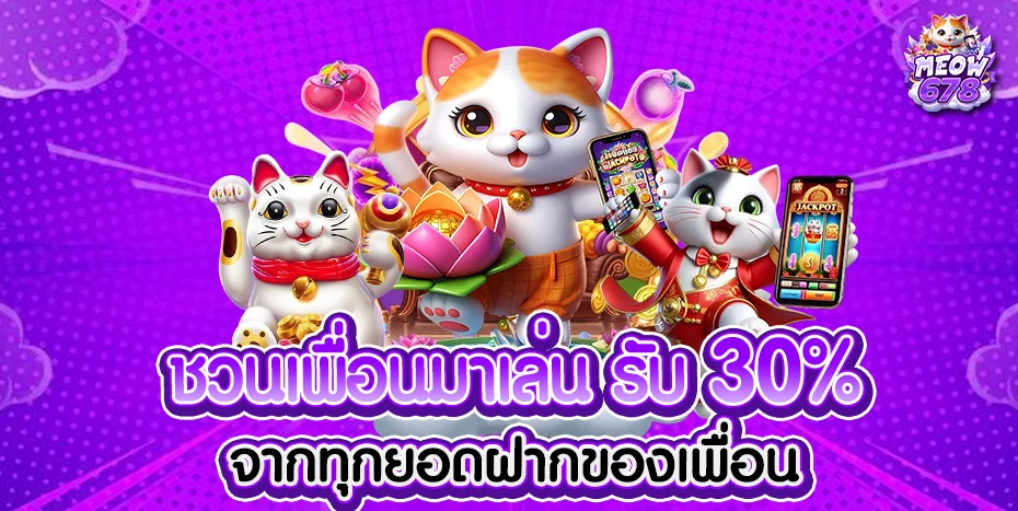 meow678 banner